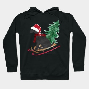 Black Lab Christmas Sled Bringing Home The Tree Hoodie